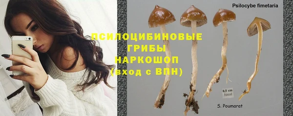 твердый Алзамай