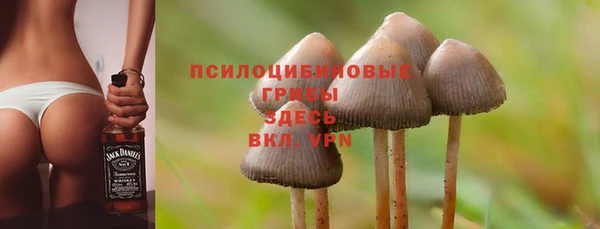твердый Алзамай