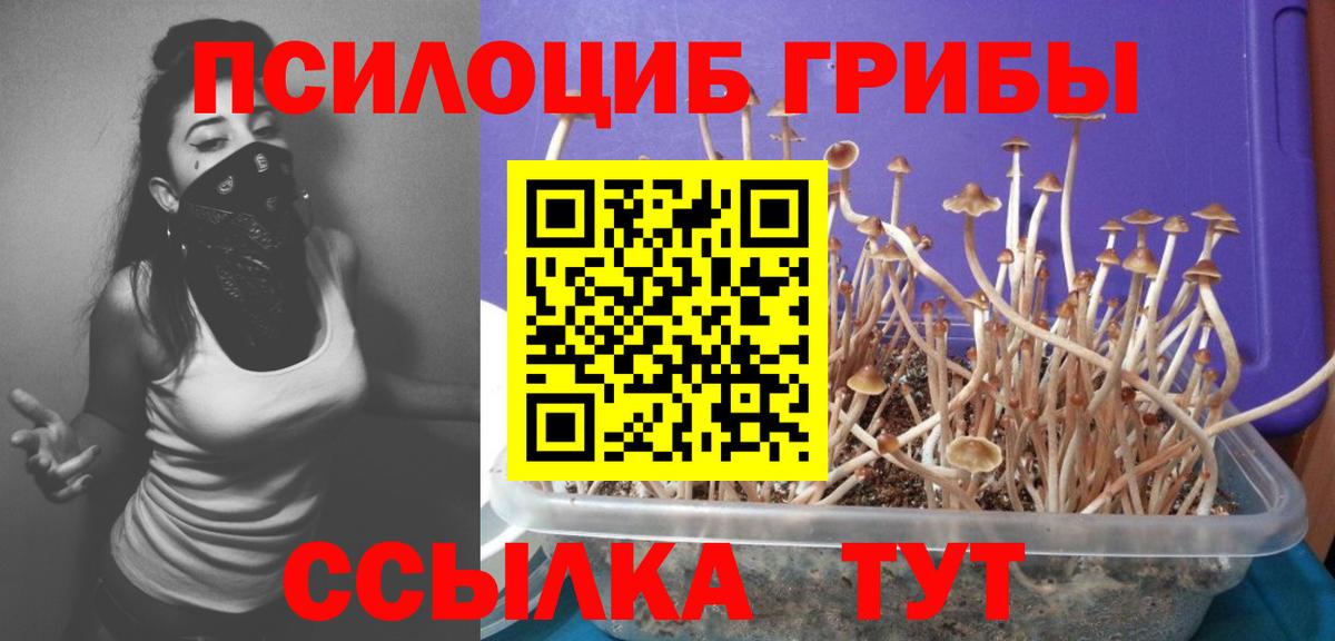 Красноуфимск  Галлюциногенные грибы MAGIC MUSHROOMS  Вход с VPN  Галлюциногенные грибы Psilocybe 